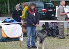 Picasa  Blöd diese warterei . Ich will lieber spielen. Gaby u. Atreju 2012